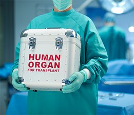 Una enfermera sujeta una caja de órganos humanos